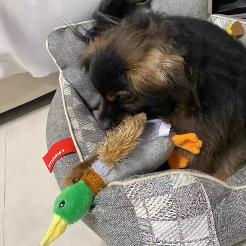 Interactive Plush Duck Squeaky Toy for Small to Medium Dogs - Engaging Chew Accessory for Pets